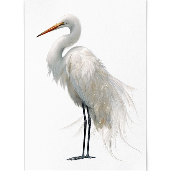 Watercolor White Heron Portrait Wall Art Print Poster, Unframed - Picture 2 of 6